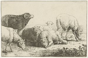 Schafe von Jan van den Hecke