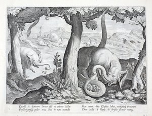 Schlange, die bei der Elefantenjagd verwendet wird, Illustration aus 