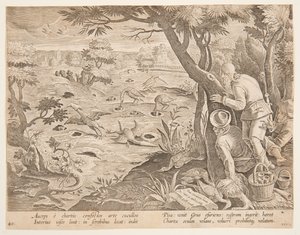 Kranichjagd mit Kegeln, Platte 28 in der Serie Venationes Ferarum, Avium, Piscium