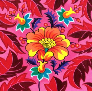 Hibiskus