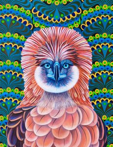 Philippinenadler