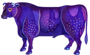 Stier