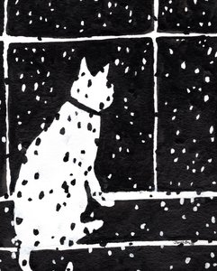 Katze im Fenster während eines Schneesturms, um 2019 von Janel Bragg