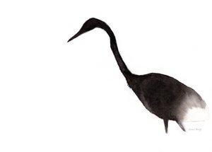Reiher in Tinte von Janel Bragg