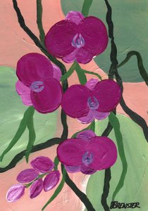 Magenta Orchideenblüten von Janine Brewster