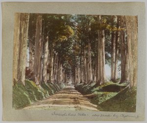 Imaichi-Straße, Nikko, Japan von Japanese Photographer