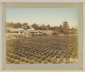Pagode von Toji und Teegarten, Kyoto, Japan von Japanese Photographer