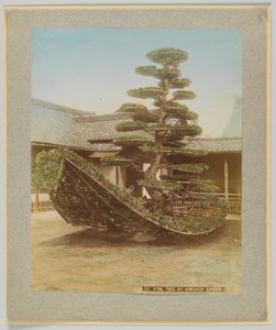 Kiefer im Kinkakuji-Garten, Kyoto, Japan von Japanese Photographer