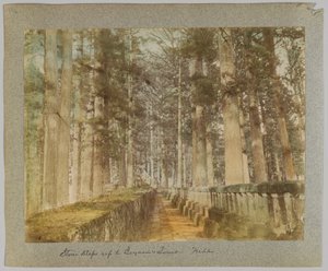 Steinstufen zum Grab von Ieyasu, Nikko, Japan von Japanese Photographer