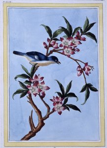 Vogel - Japanischer Druck von Japanese School