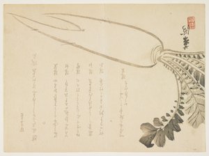 Daikon-Rettich, Januar 1864 von Japanese School