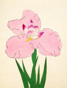 Gaisen, Nr. 90, 1890