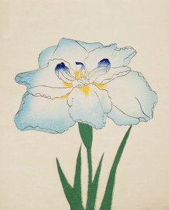 Issui-No-Gin, Nr. 34, 1890