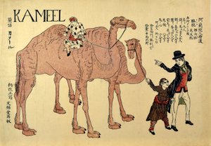 Kameel, veröffentlicht 1821