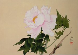 Pfingstrose, veröffentlicht 1950 von Japanese School