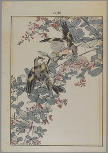 Zwei Vögel mit rosa Blumen, Meiji-Periode, ca. 1868-1912