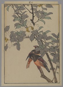 Zwei Vögel mit weißen Blumen, Meiji-Periode, 1892