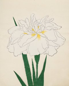 Ujaku-No-Nagisa, Nr. 61, 1890
