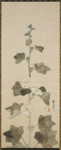 Weiße Stockrosen, Edo-Zeit, 1615-1868