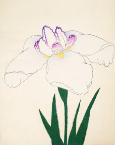 Zama-no.-Mori, Nr. 4, 1898