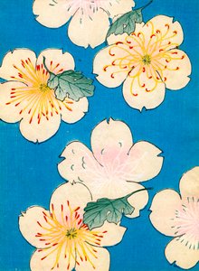 Farbholzschnitt von Hartriegelblüten von Japanese School