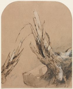 Ein abgestorbener Baum recto Grundriss verso, 1851 von Jasper F. Cropsey