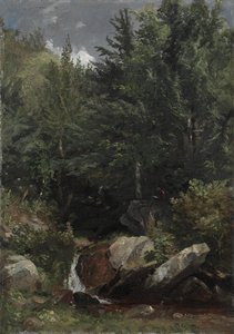 Bäume und ein Bach an einem Hang von Jasper F. Cropsey
