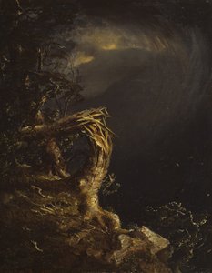 Zerbrochener Baum