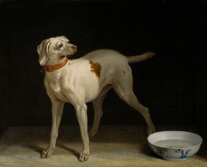 Hund von Jean Baptiste Oudry