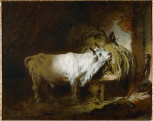 Der weiße Stier im Stall