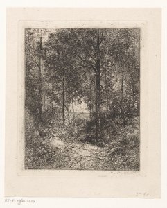 Waldansicht von Jean Alexis Achard