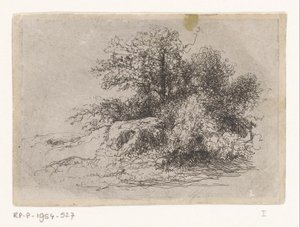 Gestrüpp von Jean Alexis Achard