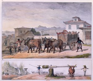 Fleischtransport und Ochsenbändigung von Jean Baptiste (after) Debret