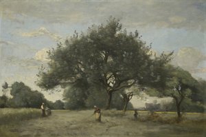 Apfelbäume auf einem Feld