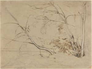 Baumgruppe bei Civita Castellana von Jean Baptiste Camille Corot