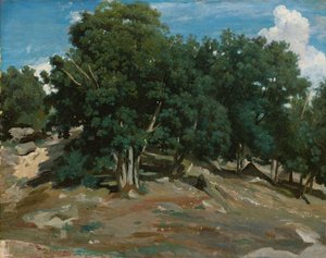 Fontainebleau: Eichen bei Bas-Bréau, 1832-3