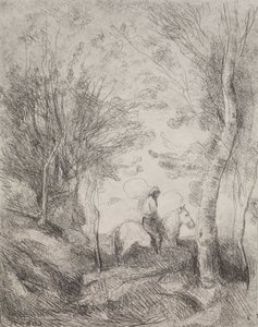 Der große Kavalier im Wald