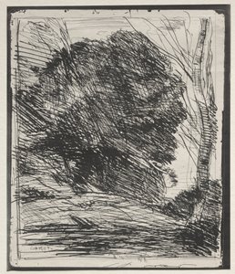 Bäume auf dem Berg, Originaldruck 1856, gedruckt 1921