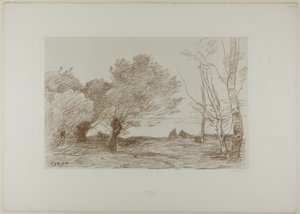 Weiden und weiße Pappeln von Jean Baptiste Camille Corot