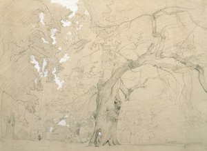 Junger Mann vor einer großen Eiche von Jean Baptiste Camille Corot