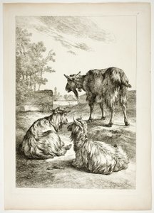 Platte Achtzehn von 38 aus Oeuvres de J. B. Huet
