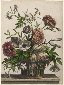 Ringelblumen, einzelne Anemone, Jasmin... von Jean Baptiste Monnoyer I