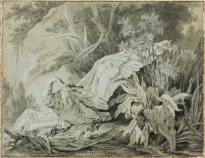 Ein wilder Schwan von einem Hund angegriffen von Jean Baptiste Oudry