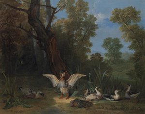 Enten ruhen im Sonnenschein