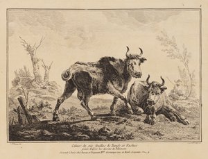 Heft mit sechs Blättern von Ochsen und Kühen