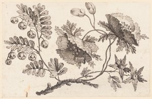 Blumenzweig, aus "Recueil de Fleurs Chinois" von Jean Baptiste Pillement
