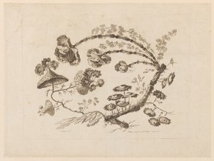 Blumenzweige, aus "Recueil de Differentes Fleurs de Fantaisie Dans le Goût Chinois"