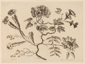 Blumenzweige, aus "Recueil de Differentes Fleurs de Fantaisie Dans le Goût Chinois" von Jean Baptiste Pillement