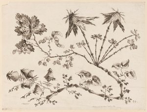 Blumenzweige, aus "Recueil de Differentes Fleurs de Fantaisie Dans le Goût Chinois"