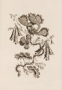 Blütenzweig, aus "Fleures Persannes"